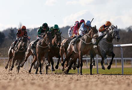 tips for wolverhampton today|Latest Horse Racing Tips for Wolverhampton .